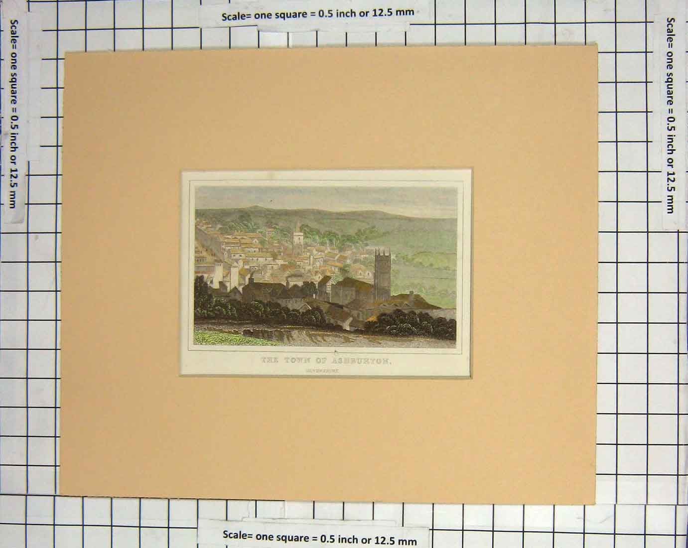 Original Old Antique Print Dugdales Town Ashburton Devonshire England