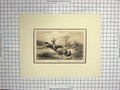 Original Old Antique Print Horses Hunting Water Jump Fall Sport Shenck