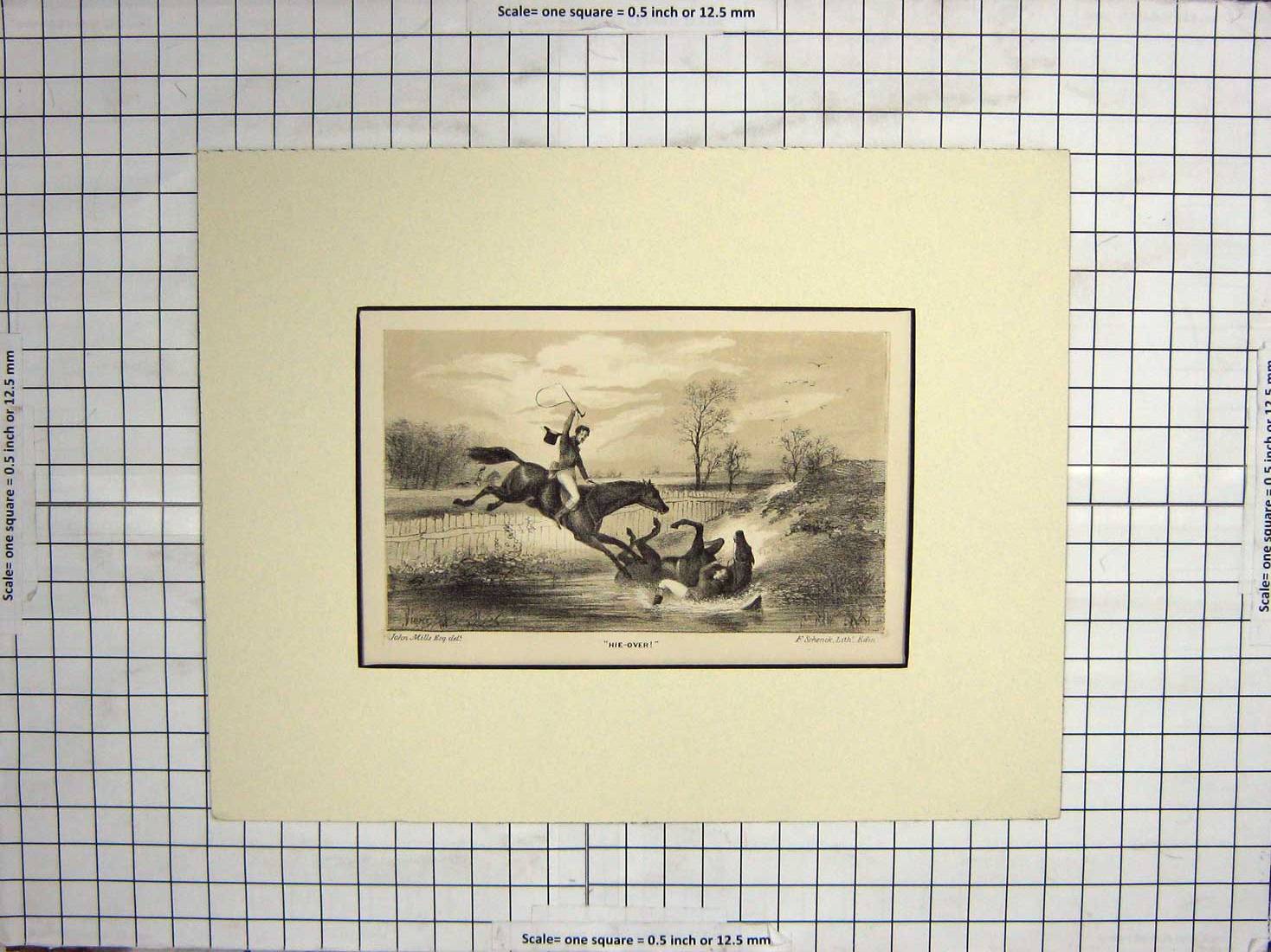 Original Old Antique Print Horses Hunting Water Jump Fall Sport Shenck