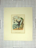 Original Old Antique Print 1815 Colour Man Windy Beach Scene Umbrella 19th