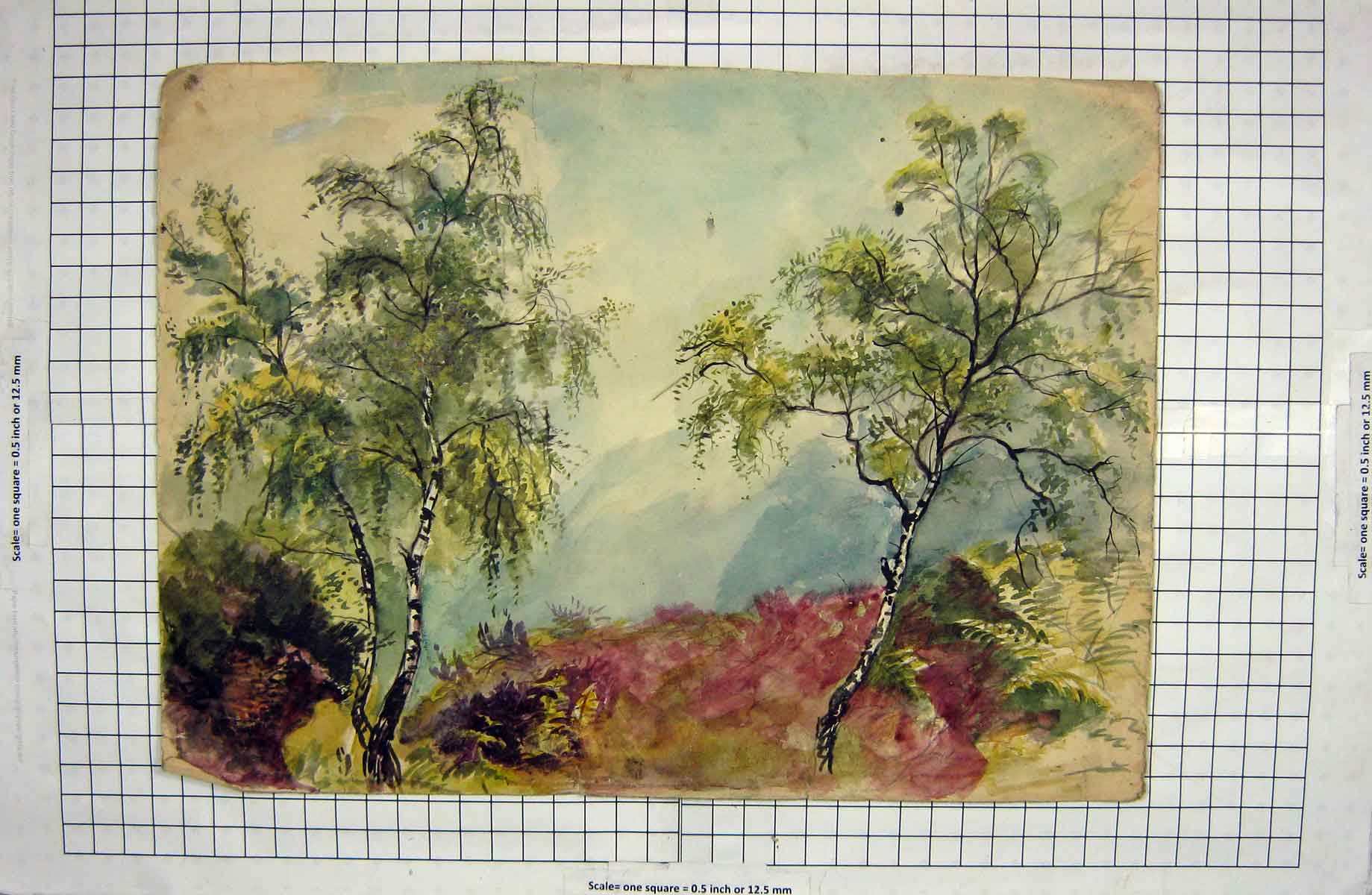 Original Old Antique Print Art Painting Colour Trees Mountains Plants