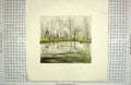 Original Old Antique Print Colour Trees River Green Plants Nature
