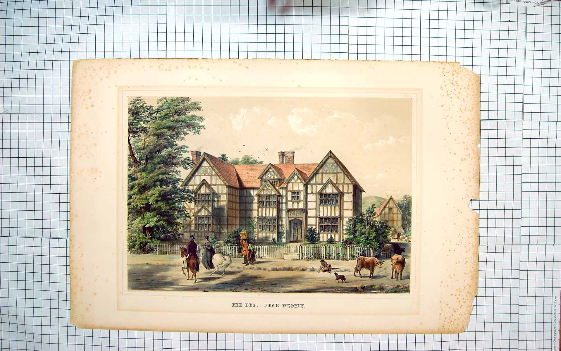 Original Old Antique Print Dutton Colour Ley Weobly Horses Mansion House