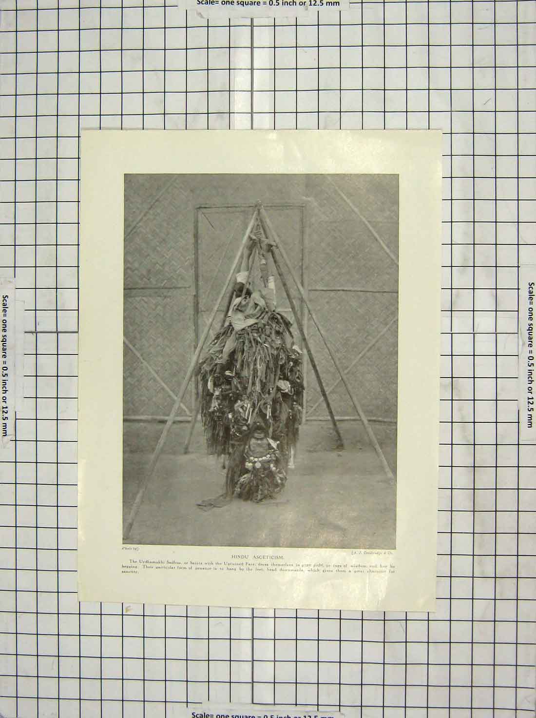 Original Old Antique Print Hindu Asceticism Urdhamukhi Sadhus Gyan Gudri Rags