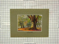 Original Old Antique Print Wyatt Colour Forest Trees Nature
