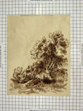 Original Old Antique Print Drawing Trees Nature Mosley