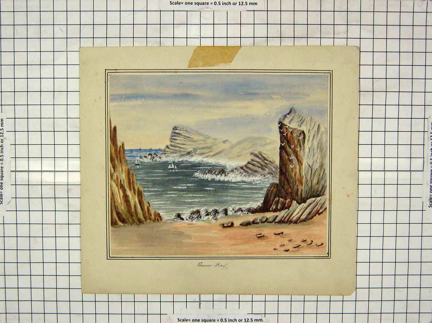 Original Old Antique Print Colour Gower Bay Beach Scene Sea Birds