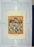 Original Old Antique Print 1894 House Lords Undertakers Arms Hogarth Colour