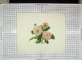 Original Old Antique Print Colour Flowers Green Pink White Nature