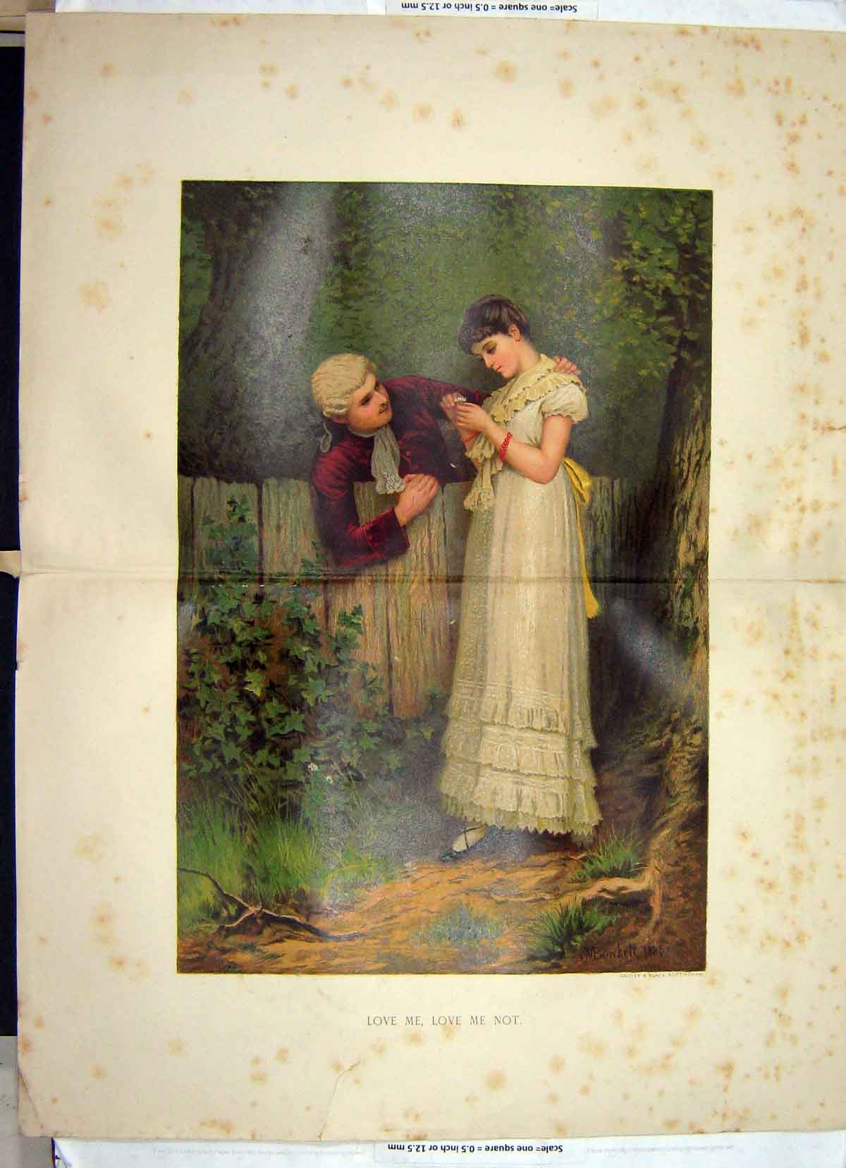 Original Old Antique Print Colour Love Not Man Lady Romance Flowers