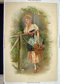 Original Old Antique Print Ref.977 Colour 1892 Lady Waiting Flowers Basket