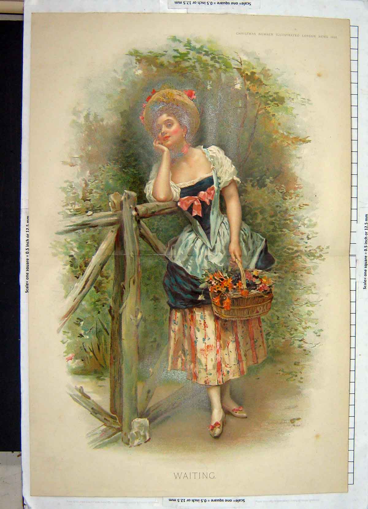 Original Old Antique Print Ref.977 Colour 1892 Lady Waiting Flowers Basket