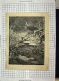 Original Old Antique Print 1895 Red Fisher Man Engraving Christie Victorian