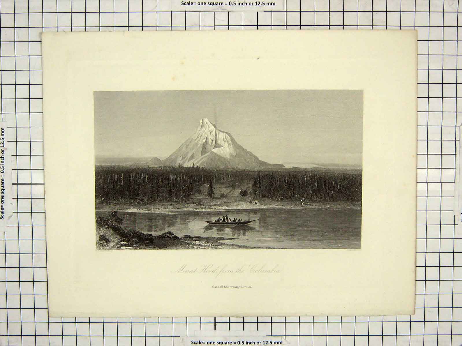 Original Old Antique Print Engraving Mount Hood Columbia Mountain Hinselwood
