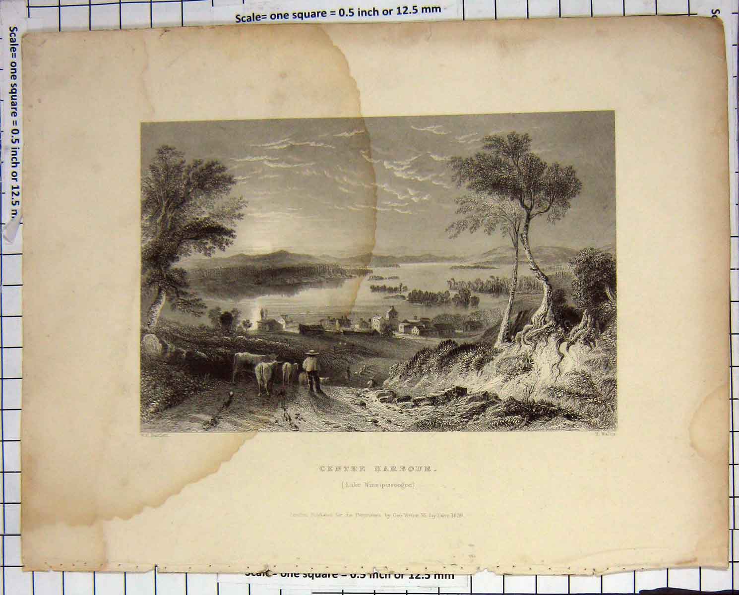 Old Antique Print 1839 Centre Harbour Lake Winnipisseogee Wallis Bartlett 19th