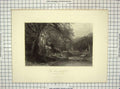 Original Old Antique Print View Adirondack Woods Trees Deer Hart Hinshelwood