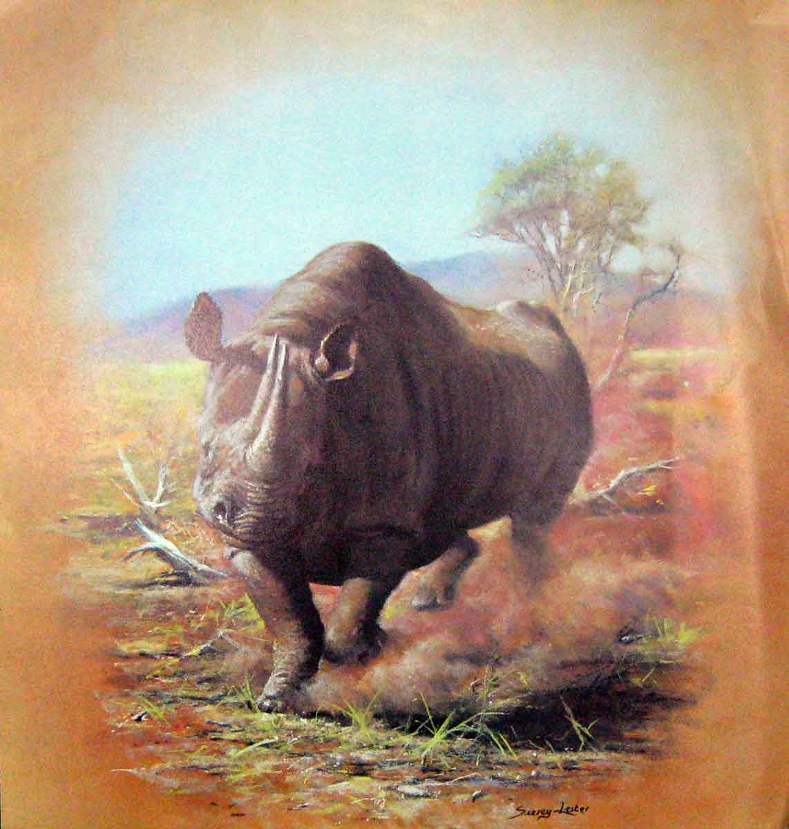 Original Old Antique Print Colour Rhinocerous Lester Colour