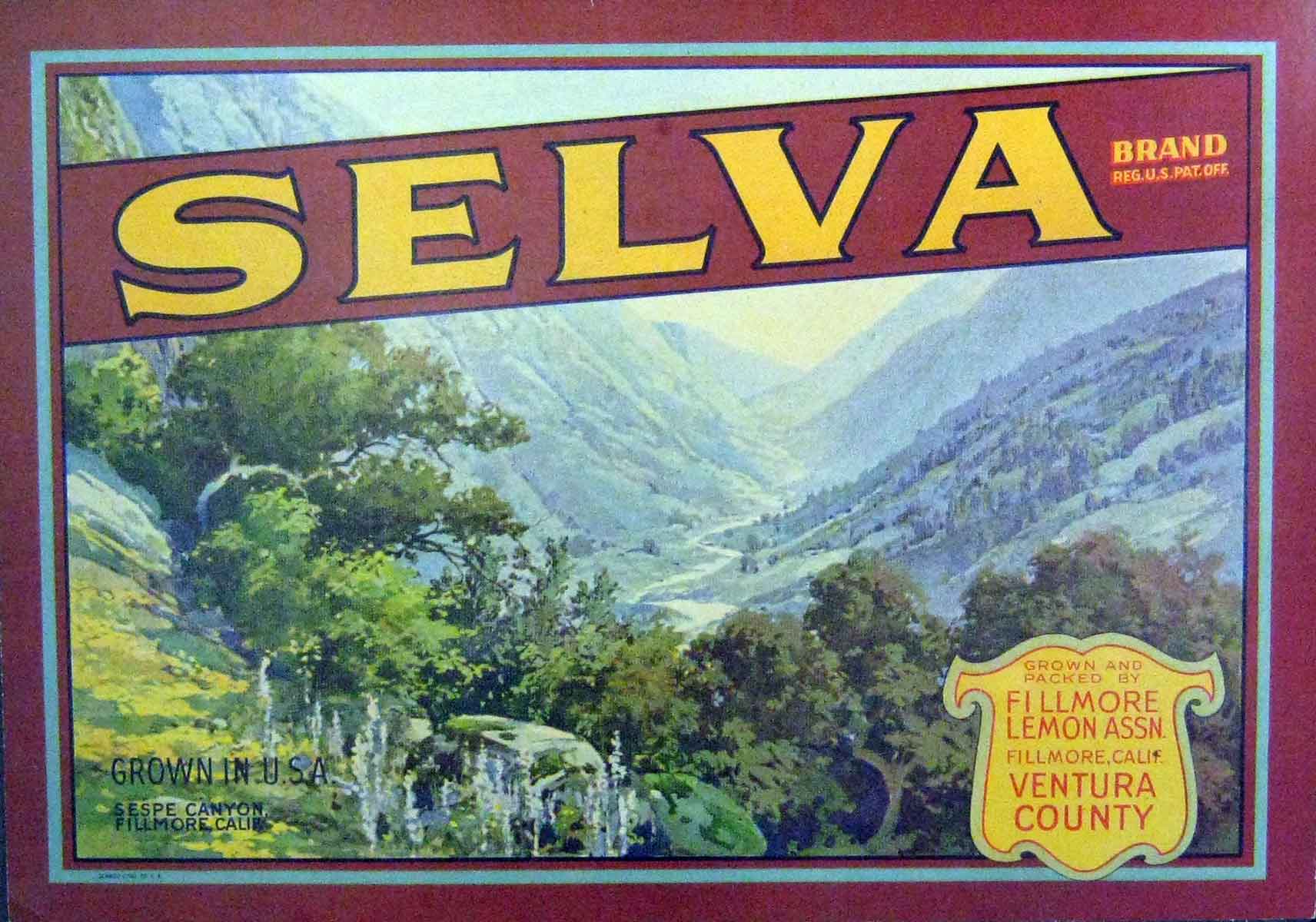 Original Old Antique Print Advertisement Selva Brand Fillmore Lemon California