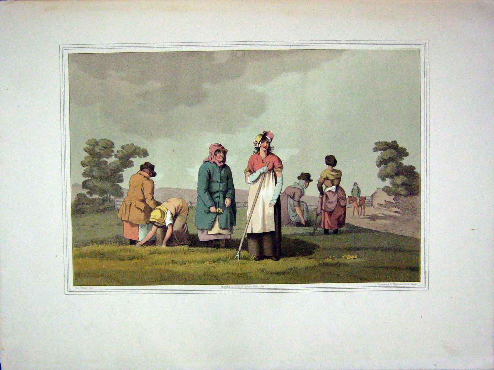 Original Old Antique Print Lowkers Women Children Corn Fields 1885 Walker Baden