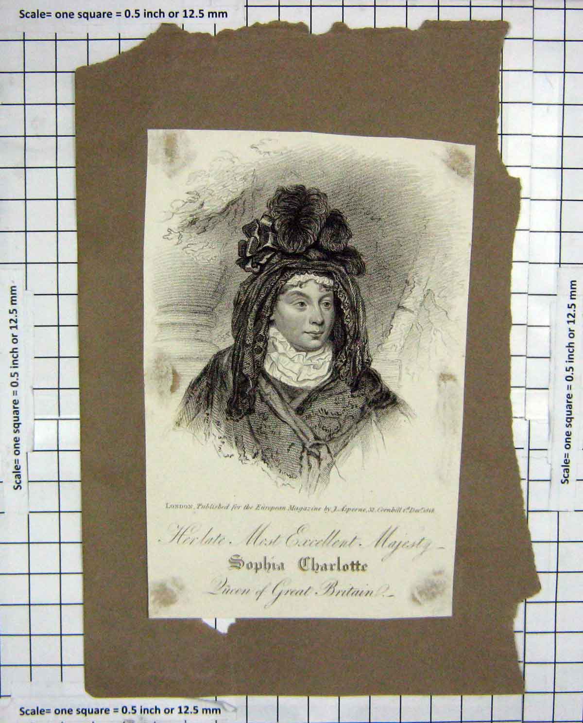 Original Old Antique Print 1818 Portrait Majesty Queen Sophia Charlotte Britain