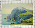 Original Old Antique Print Colour Sea Cliffs Green Fence Countryside