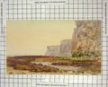 Original Old Antique Print Colour Sea Cliffs Beach Birds