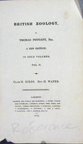 Original Old Antique Print British Zoology Thomas Pennant Reference Page