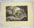 Original Old Antique Print 1808 Colour Engraving Stag Lions Den Wild Animals