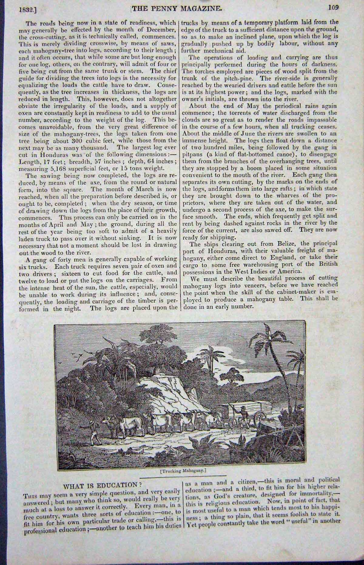 Original Old Antique Print 1832 Trucking Mahogany Bullocks Cart Mountains 19th