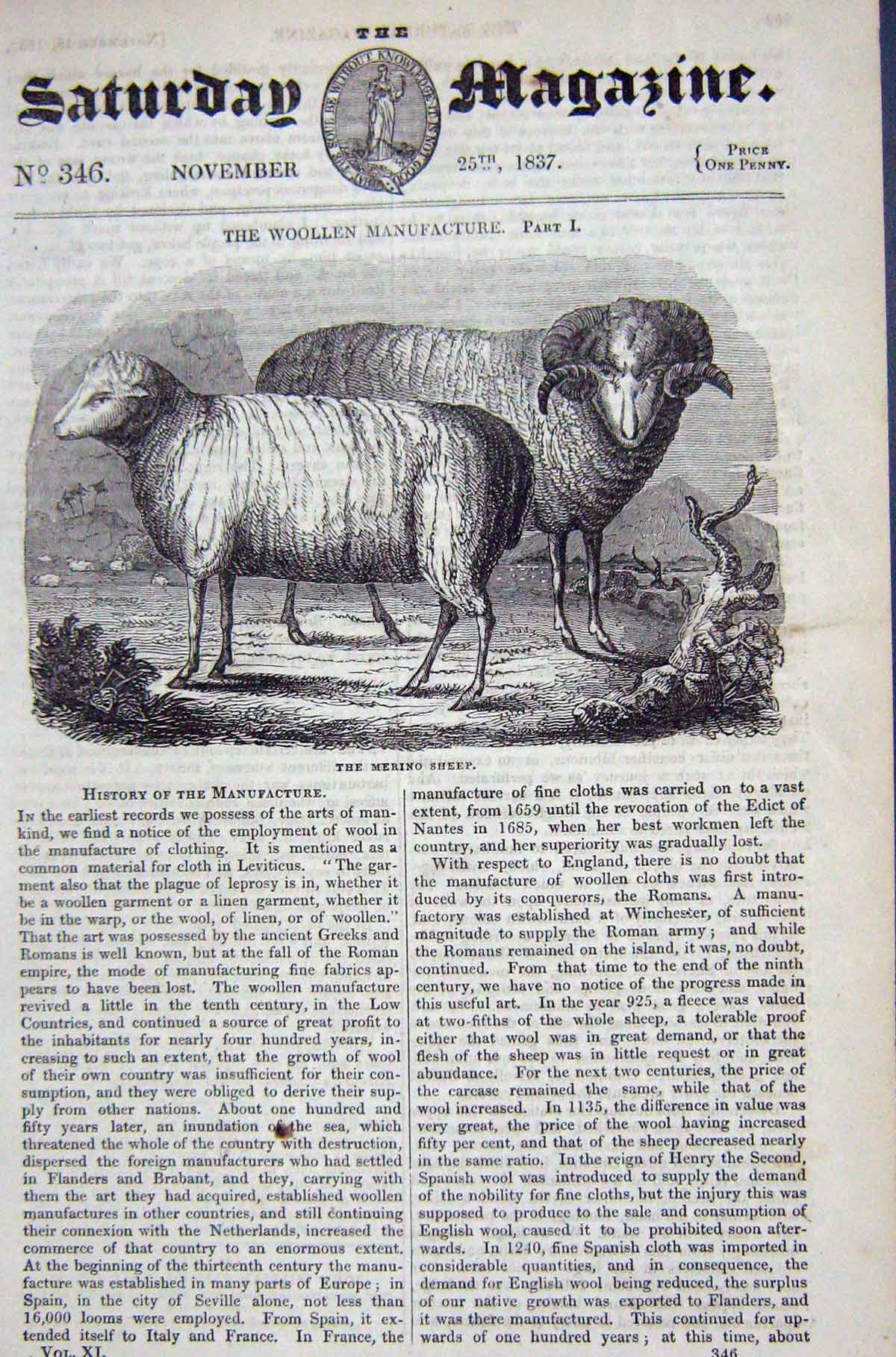 Original Old Antique Print 1837 Merino Sheep Animals 19th Century