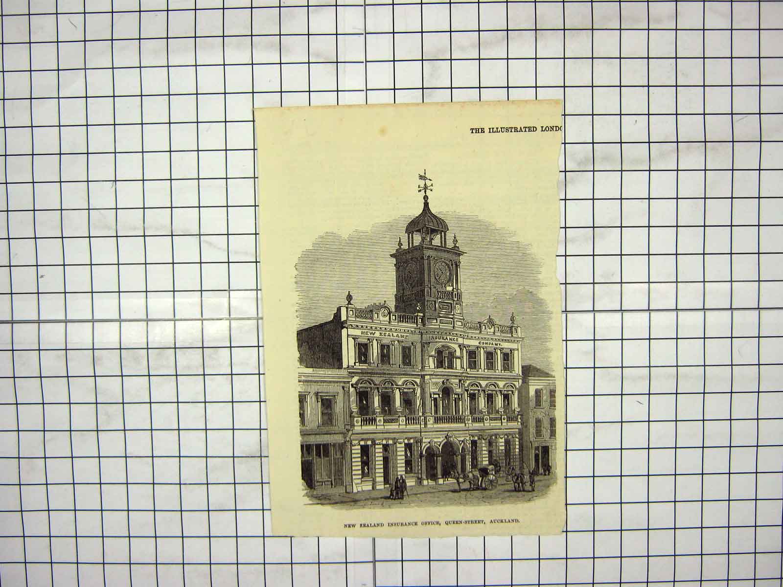 Original Old Antique Print New Zealand Insurance Office Queen Street Auckland