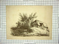 Original Old Antique Print 1804 Engraving House Tree John Thompson 19th Century