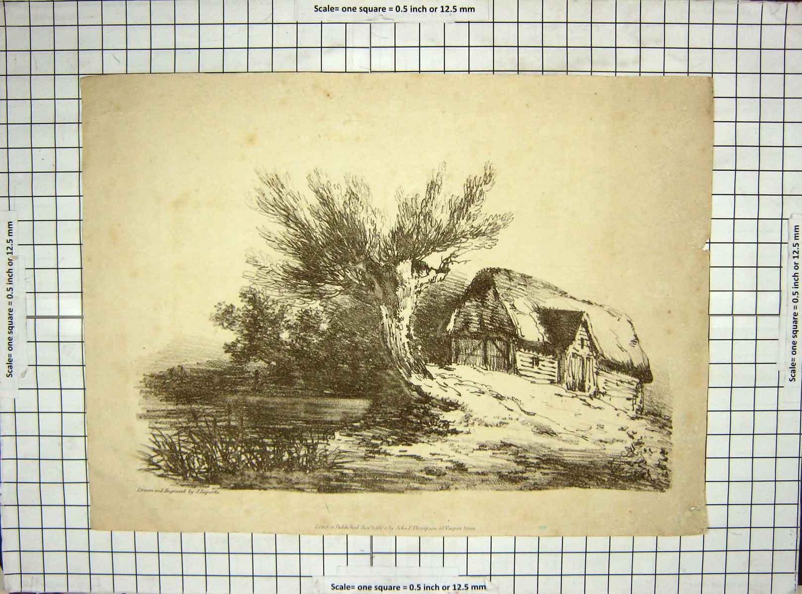 Original Old Antique Print 1804 Engraving House Tree John Thompson 19th Century