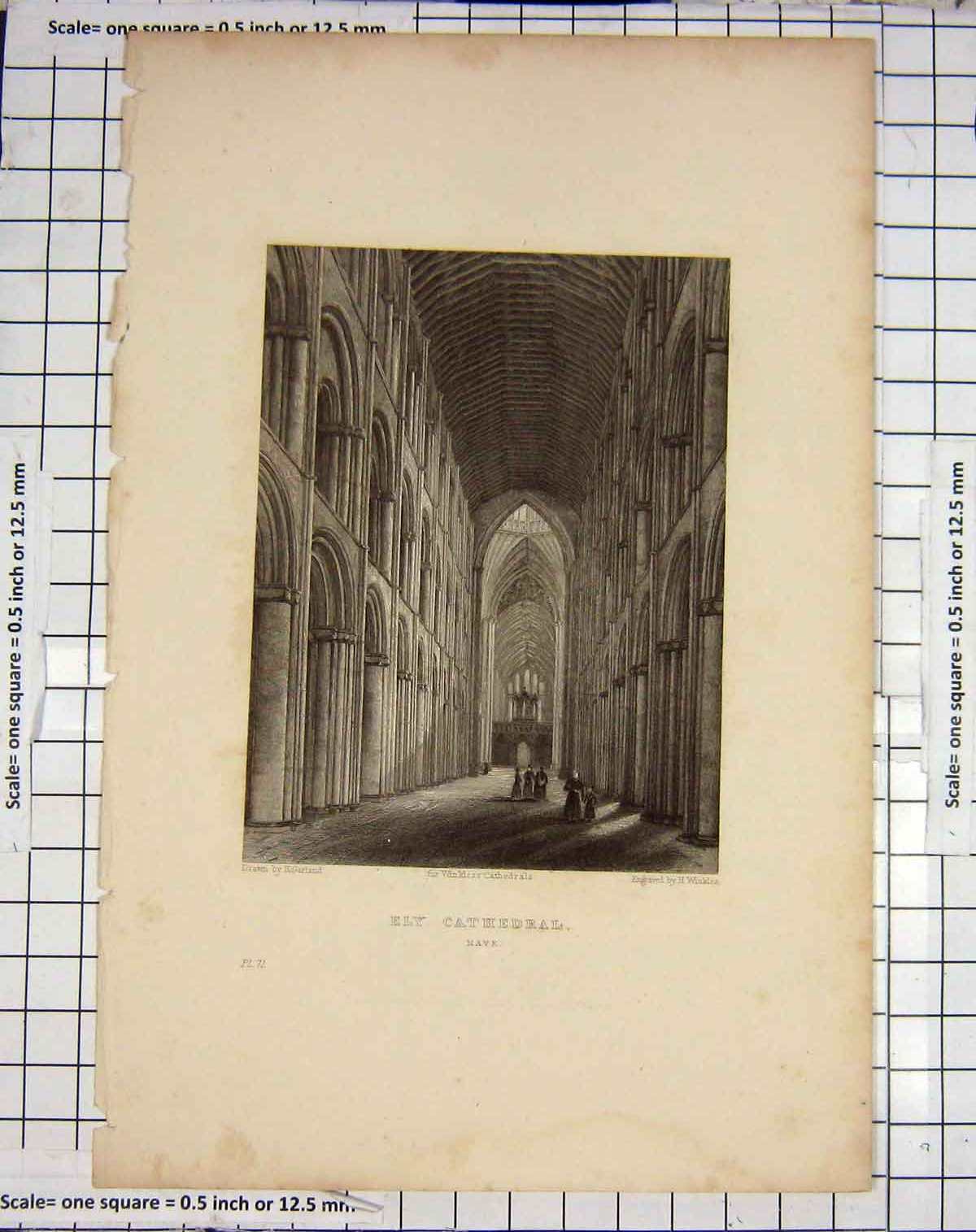 Original Old Antique Print Winkles Engraving Ely Cathedral Nave Garland