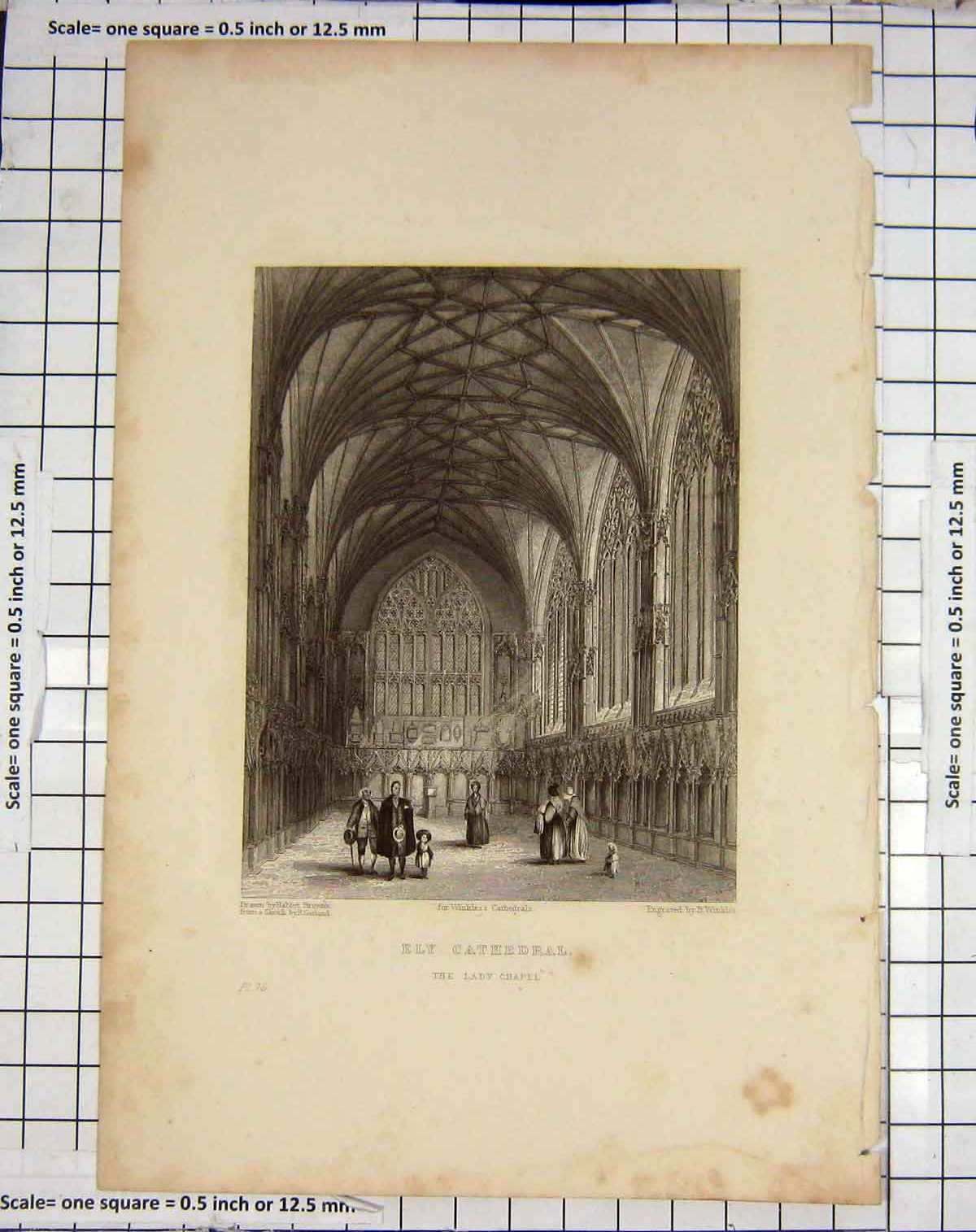 Original Old Antique Print Ely Cathedral Lady Chapel Garland Winkles Engraving