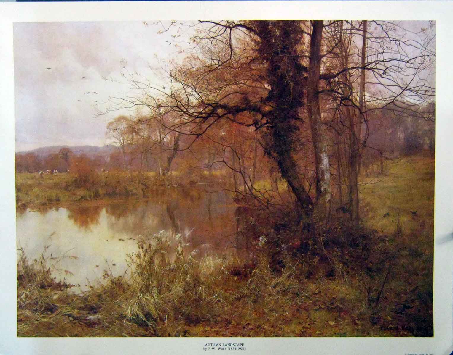 Original Old Antique Print Waite Large Colour Autumn Landscape Trees River