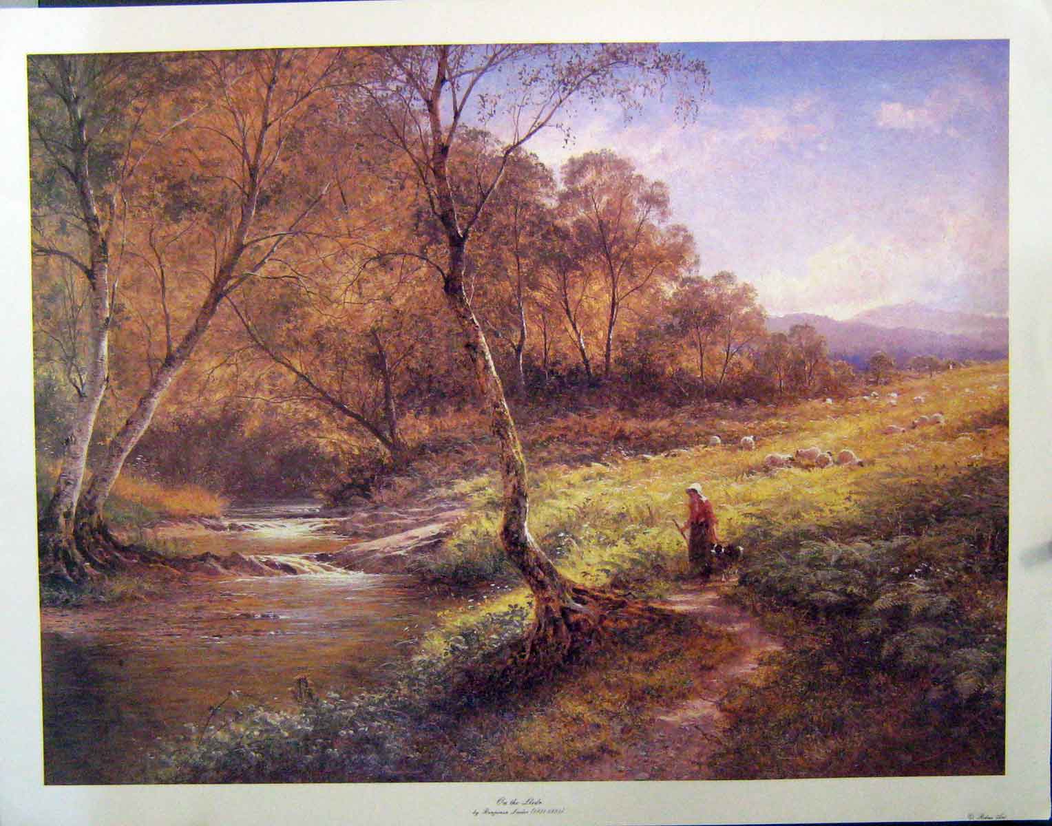 Original Old Antique Print Leader Large Colour Landscape Sheep River Trees