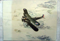 Original Old Antique Print Colour War Plane Aircraft America