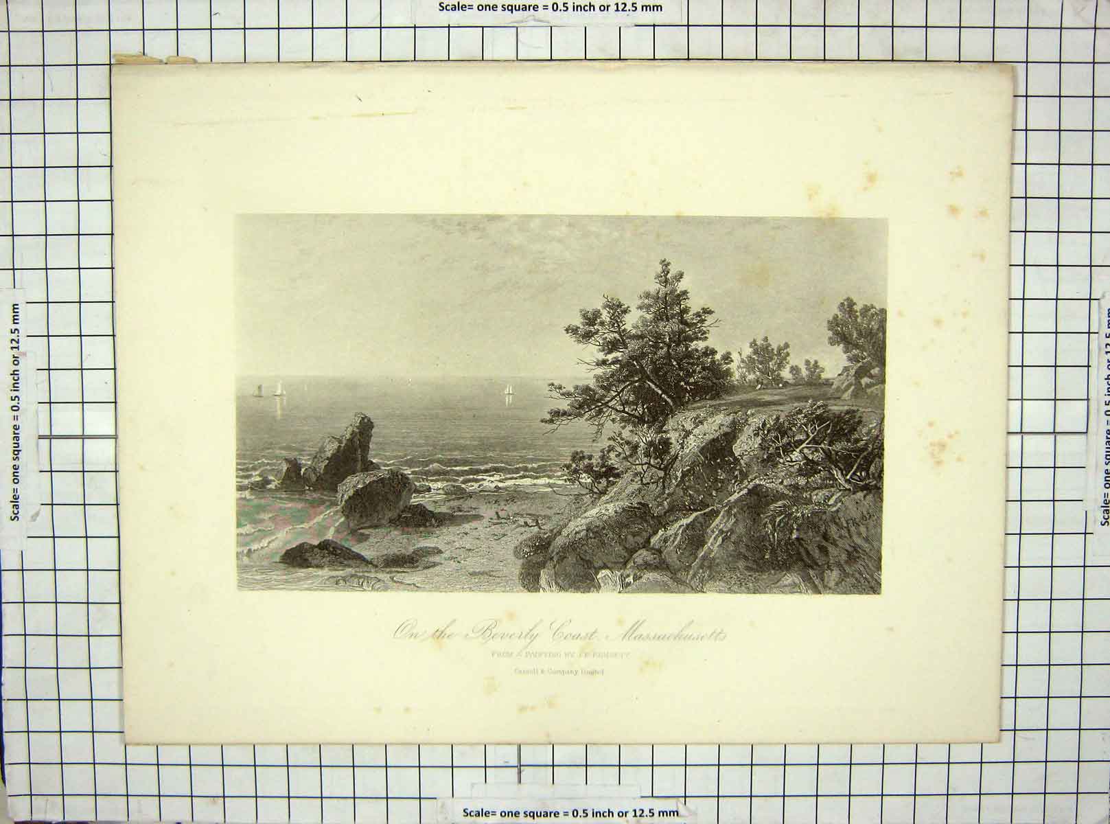 Original Old Antique Print C1850 View Beverly Coast Massachusetts Cassell 19th