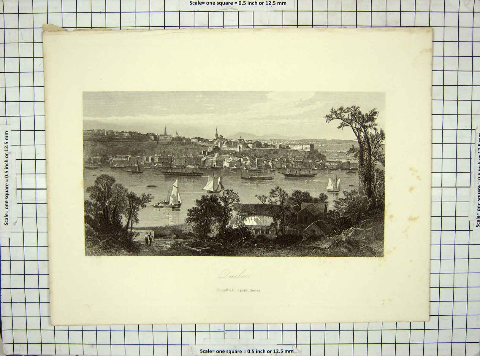 Original Old Antique Print C1850 Woodward View Quebec Canada Hinshelwood 19th