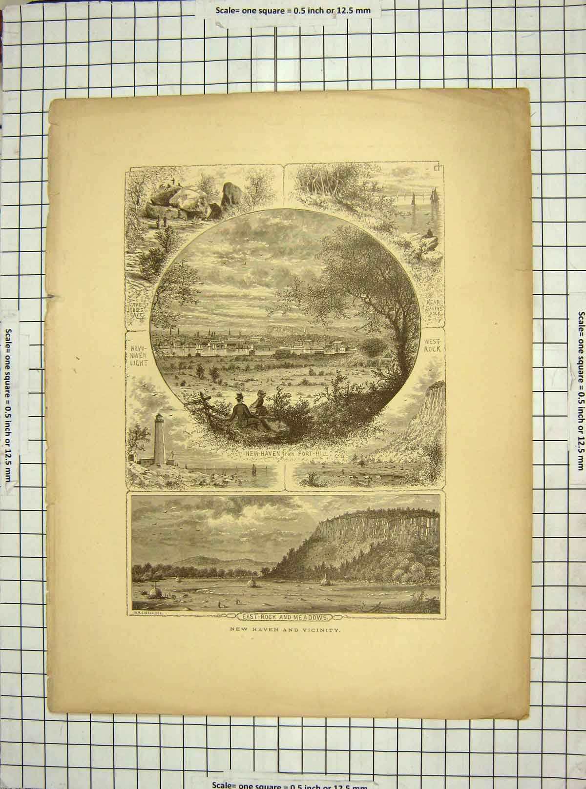 Original Old Antique Print C1850 New Haven Fort Hill East Rock Meadows America