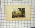 Original Old Antique Print Colour L'Ete People Trees Agriculture Farming