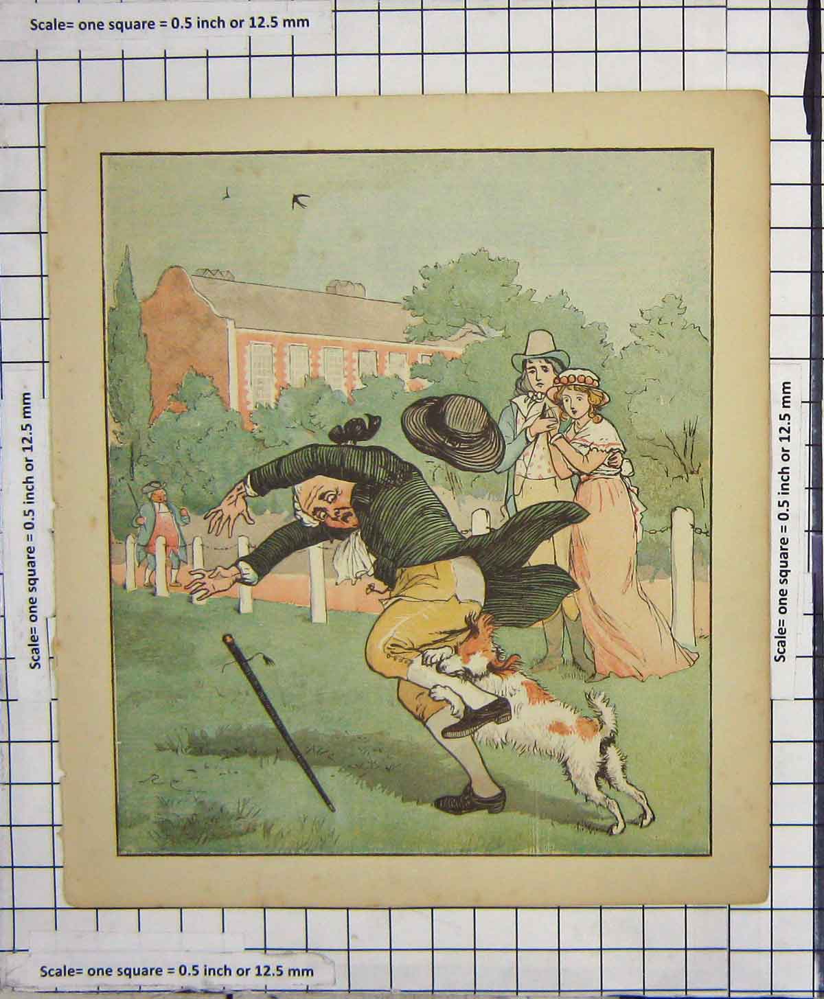 Original Old Antique Print C1880 Colour Man Attacked Dog Garden House 19th