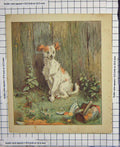 Original Old Antique Print C1880 Colour Scruffy Dog Garden Man Clothes 19th
