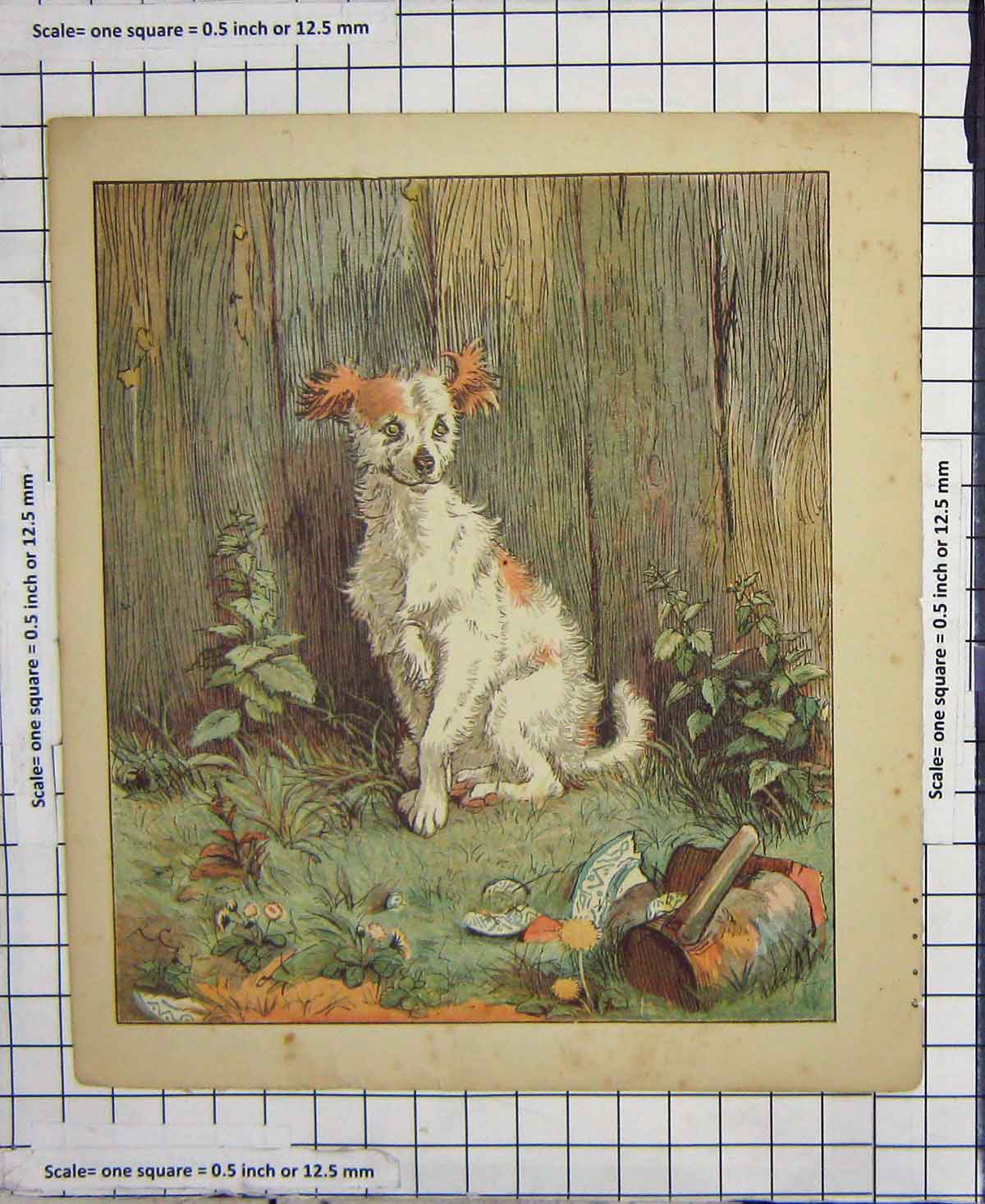 Original Old Antique Print C1880 Colour Scruffy Dog Garden Man Clothes 19th