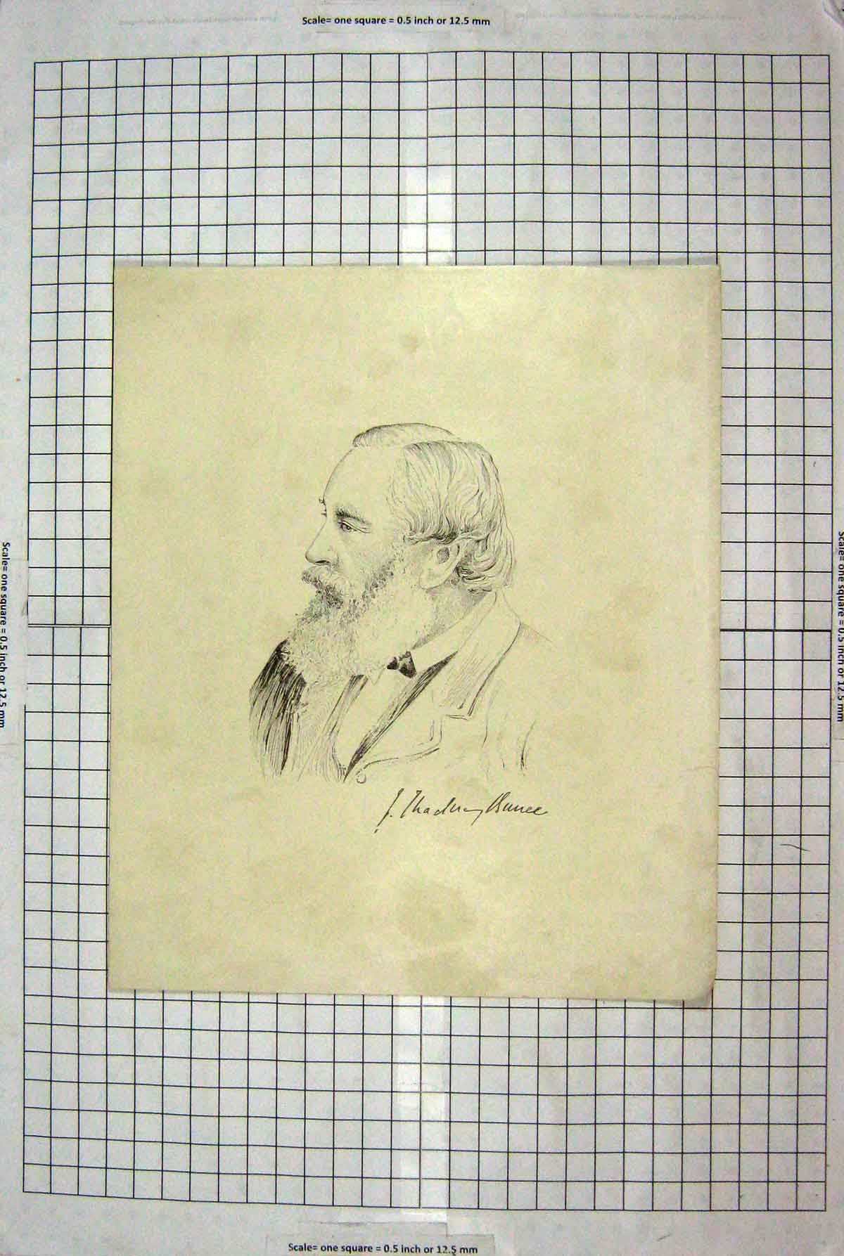 Original Old Antique Print Portrait Man Beard Sketch
