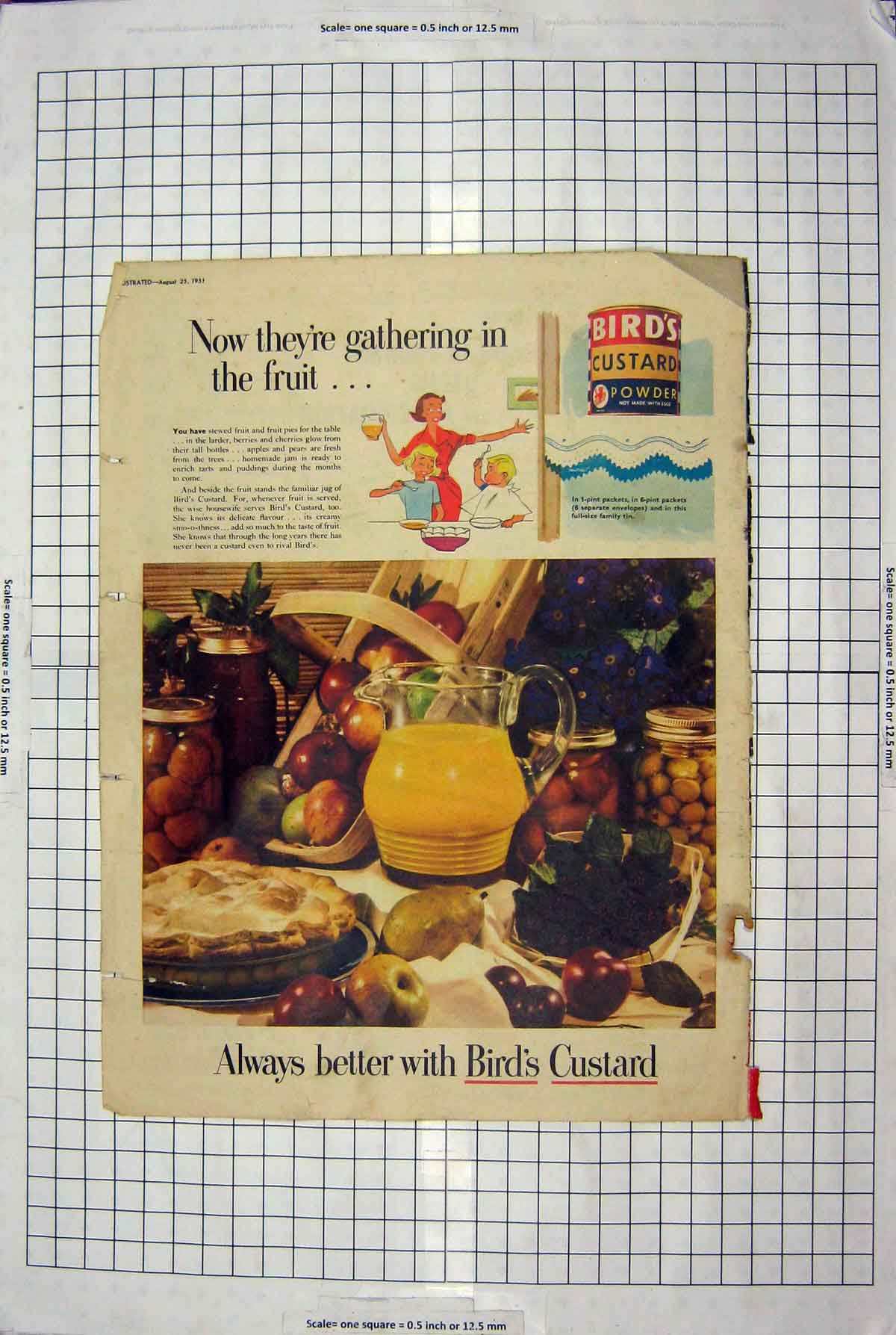 Old Vintage Print 1951 Advertisement Bird'S Custard Milk Magnesia Softex 20th