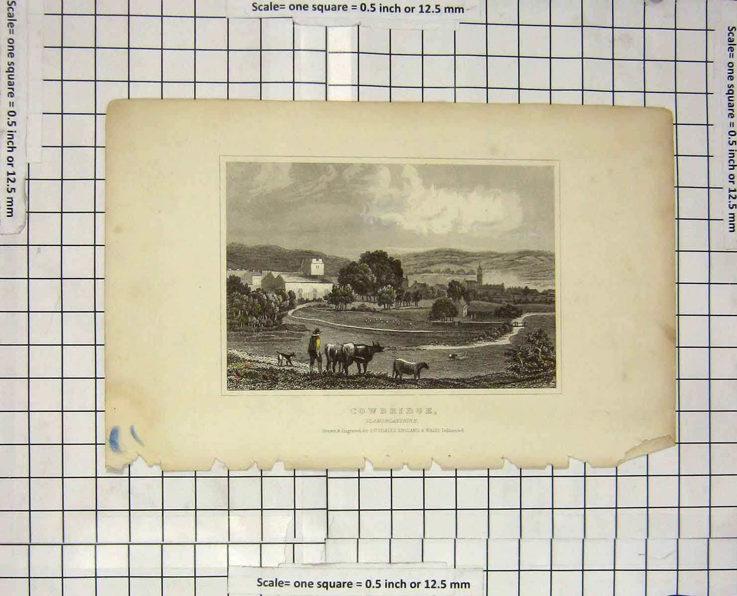 Original Old Antique Print View Cowbridge Glamorganshire Dugdales Engraving