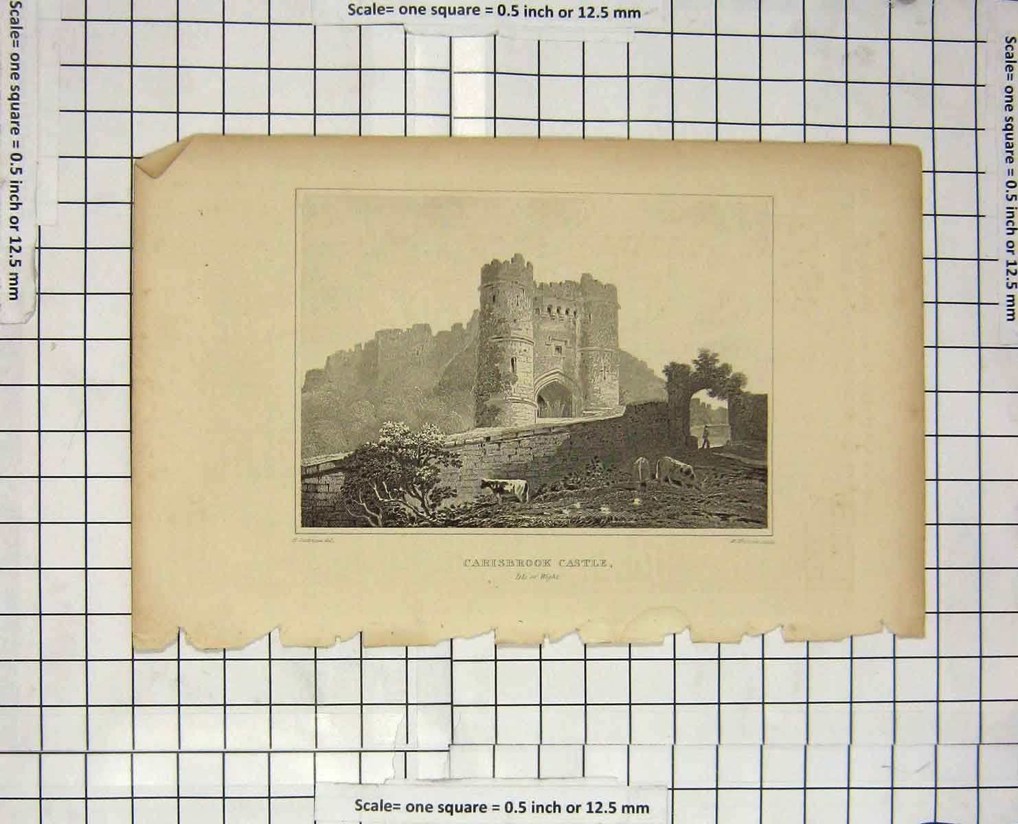 Original Old Antique Print View Carisbrook Castle Isle Wight Woolnoth Engraving