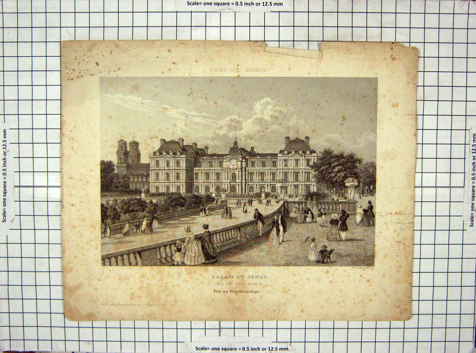Original Old Antique Print View Palais Du Senat Cote Du Luxembourg Chamoun